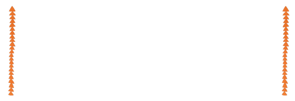 Etiket - rand oranje