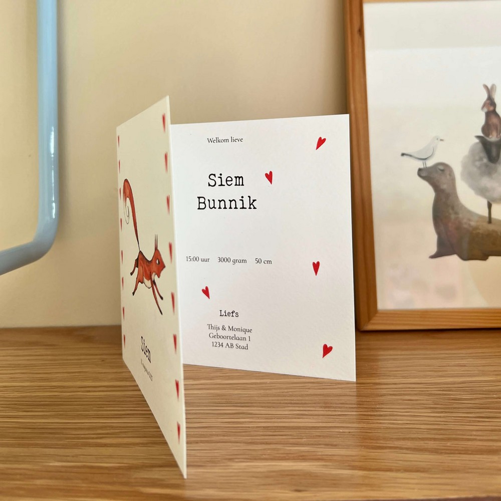 Geboortekaartje eekhoorn Siem