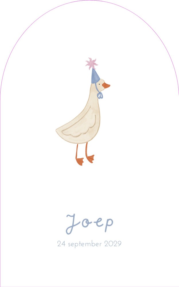 Geboortekaartje eendje Joep