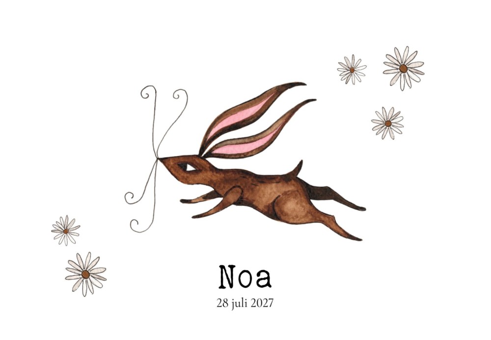 Geboortekaartje konijn Noa