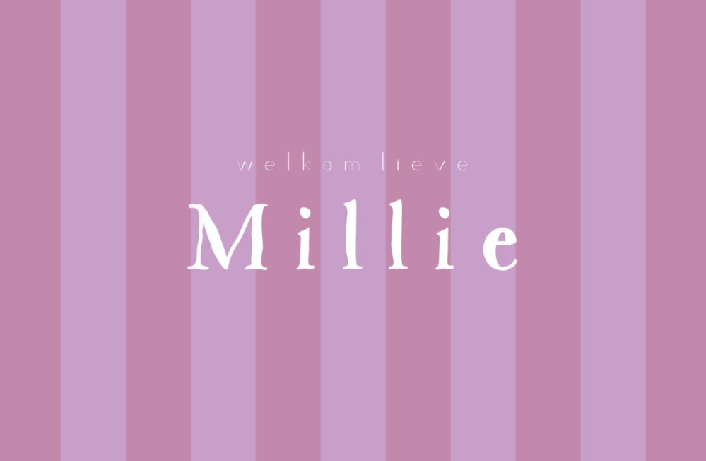 Geboortekaartje streep paroon - Millie
