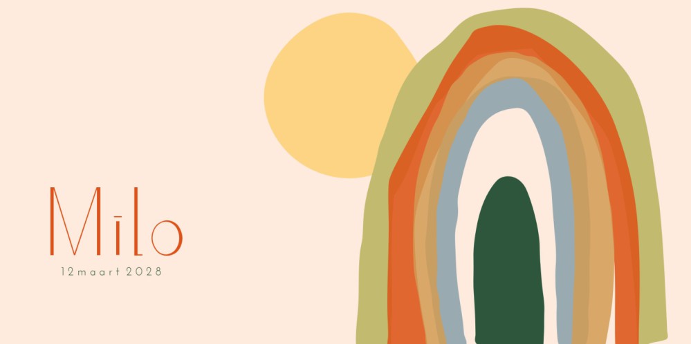 Geboortekaartje Regenboog - Milo