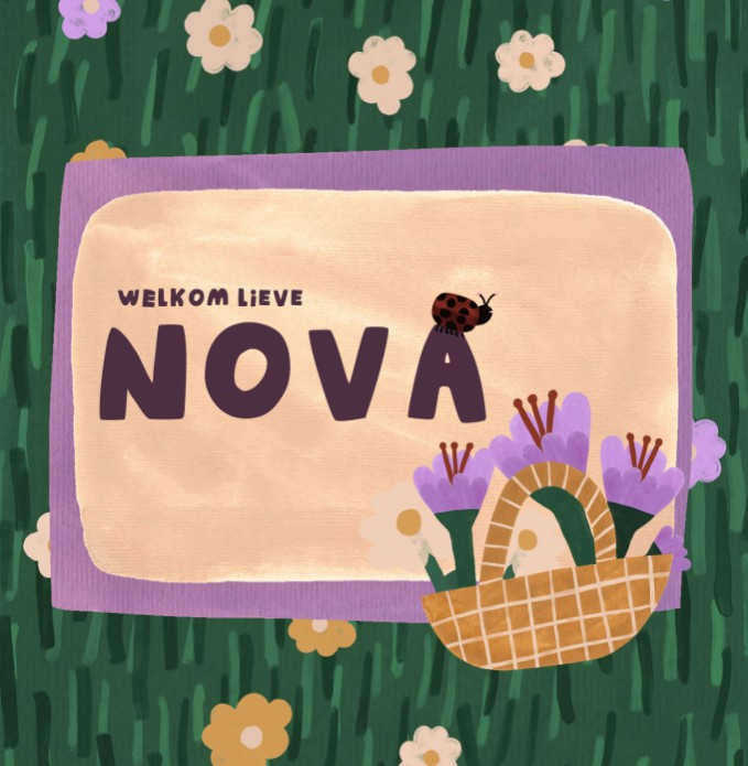 Geboortekaartje Picknick - Nova