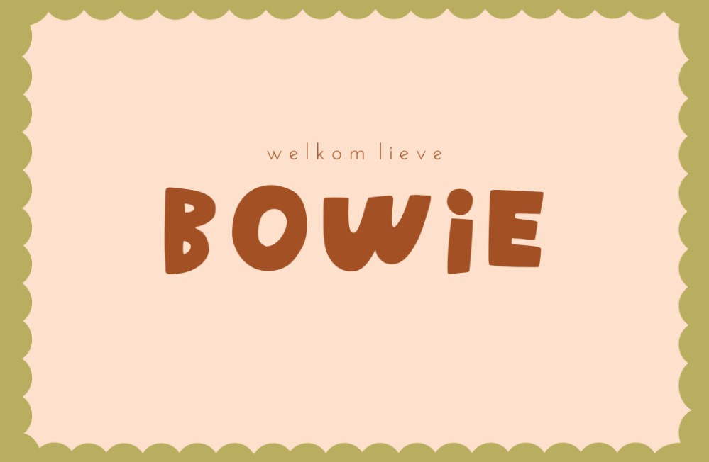 Geboortekaartje rand bolletjes - Bowie