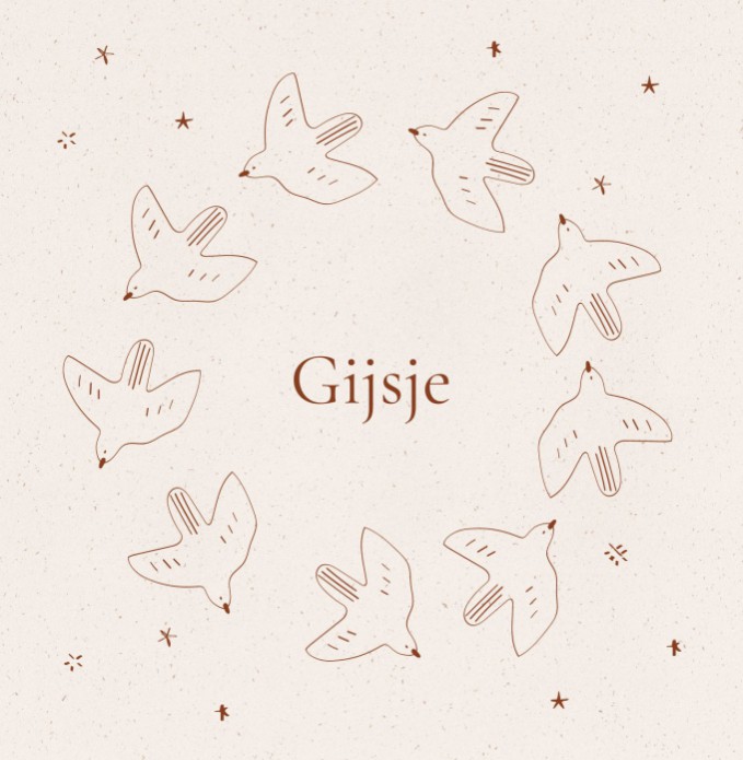 Geboortekaartje vogels - gijsje