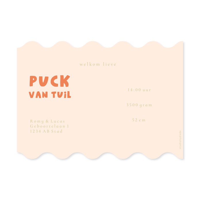Geboortekaartje golvend en streep - Puck