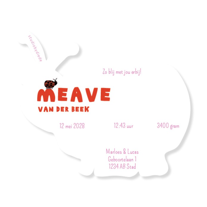 Geboortekaartje in vorm van lieveheersbeestje - meave
