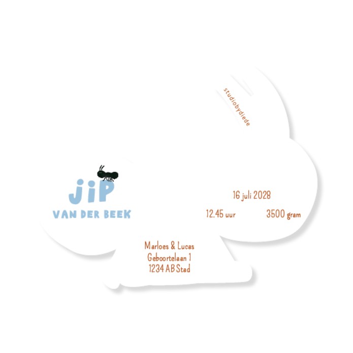 Geboortekaartje in vorm van mier - jip