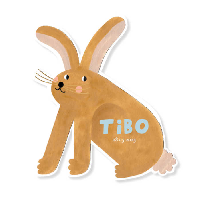 Geboortekaartje in vorm van konijn - Tibo