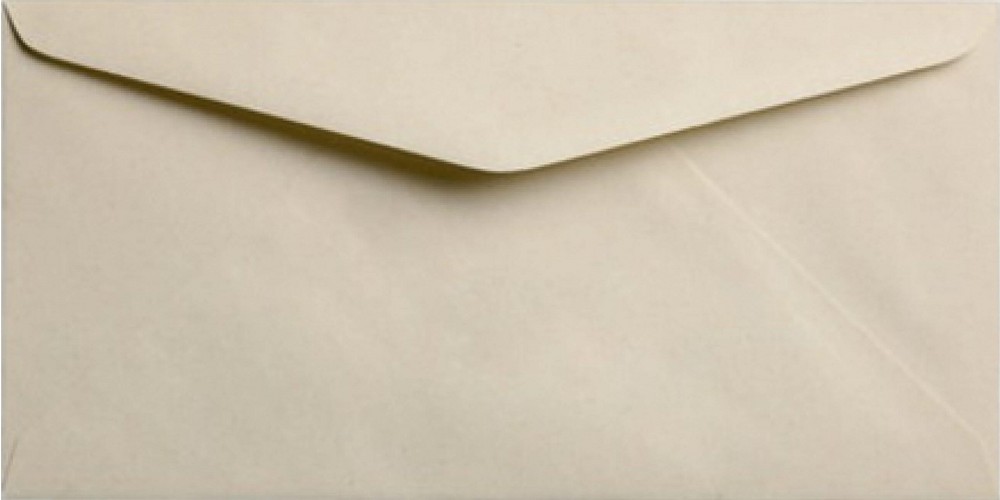 Envelop paperwise 11x22 cm