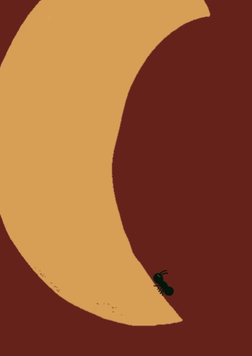 Poster maan mier 50x70