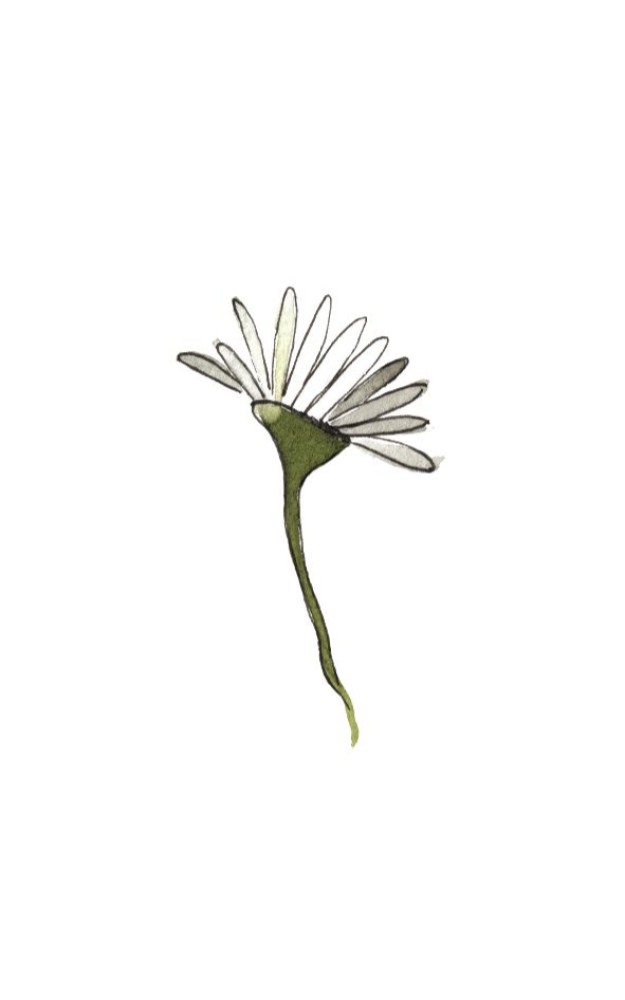 Postzegel - wit bloemetje Atelier Fabel