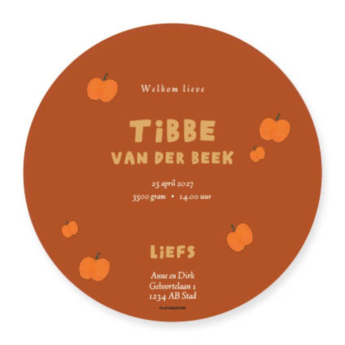 Geboortekaartje olifant rond - Tibbe