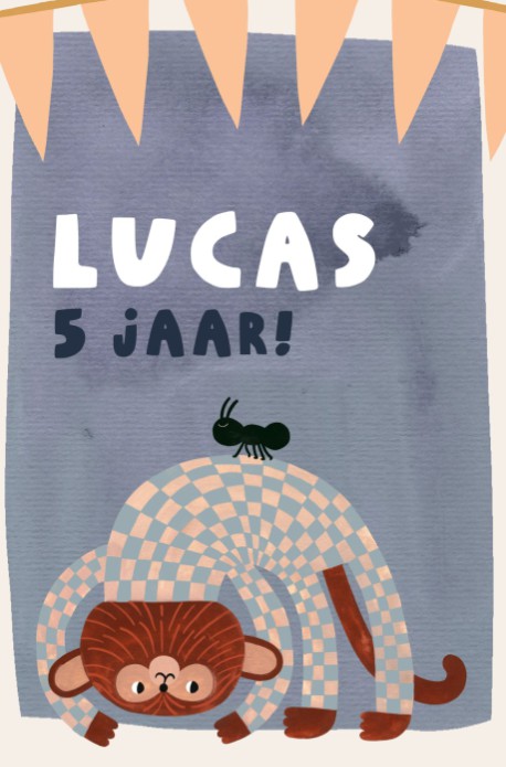 Verjaardagsfeestje aap - lucas