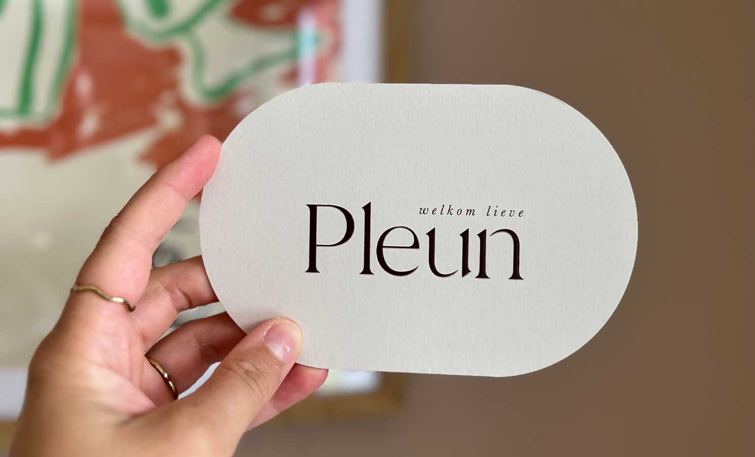 Geboortekaartje Pleun